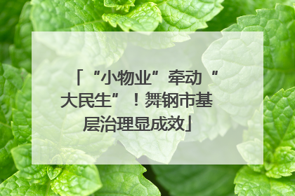 “小物业”牵动“大民生”！舞钢市基层治理显成效